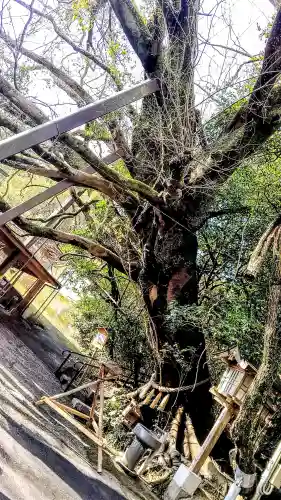 八大龍王水神(宮崎県)