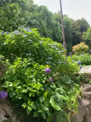 天源院(神奈川県)
