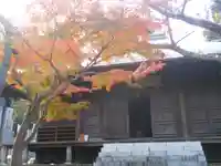 長勝寺の本殿・本堂