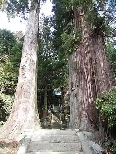 鹿島大神宮の自然