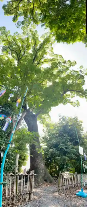 水無瀬神宮(大阪府)