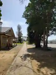 日枝神社の建物その他