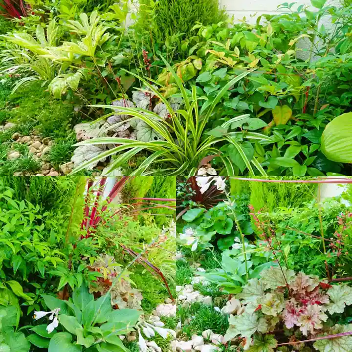 寿量山 速成寺の庭園