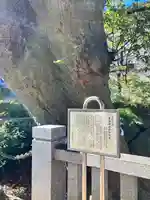 青渭神社(東京都)