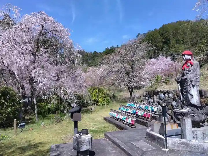 宝泉寺(京都府)