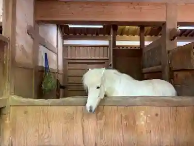 金刀比羅宮(香川県)