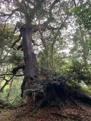 八雲神社(千葉県)