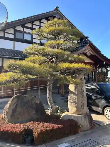 正信寺の建物その他