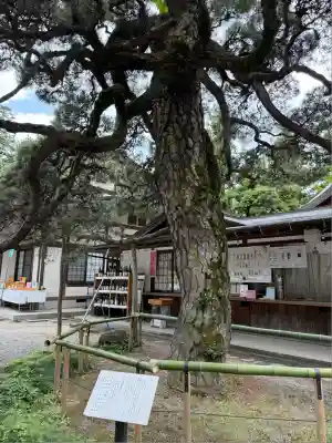 甲斐國一宮 浅間神社(山梨県)