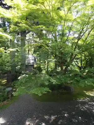 如法寺（鳥追観音）(福島県)