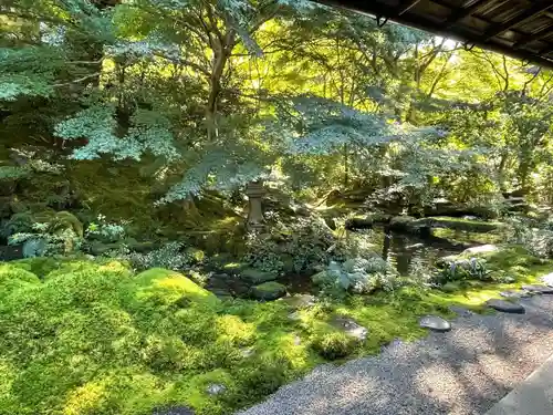 光明寺瑠璃光院(京都府)