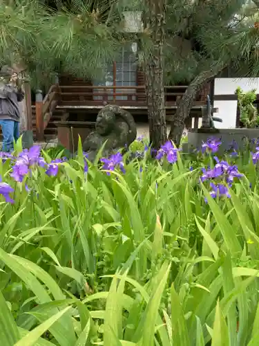 得浄明院（善光寺別院）(京都府)