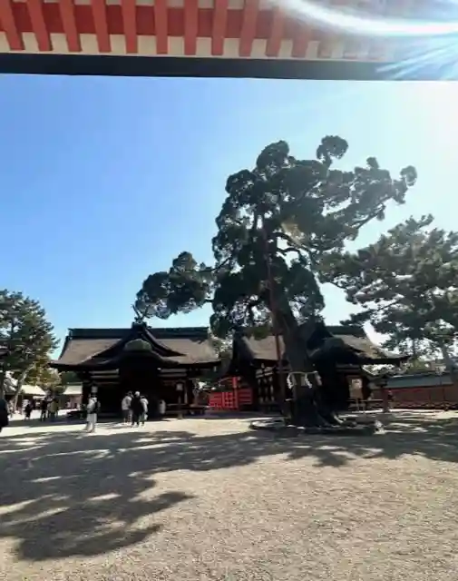 住吉大社(大阪府)