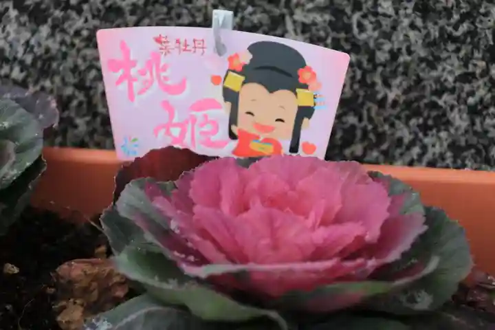 豊景神社のその他建物