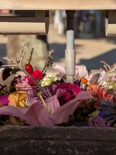 鳩森八幡神社(東京都)