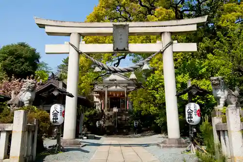 八雲神社(緑町)の鳥居