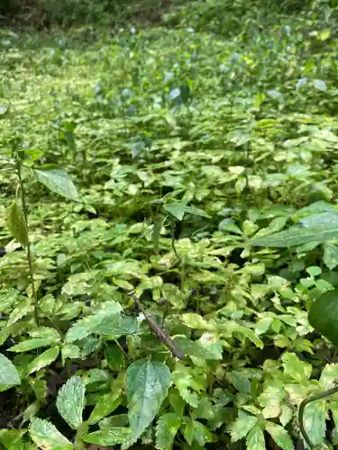 愛宕神社(栃木県)