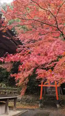 宝積寺(京都府)