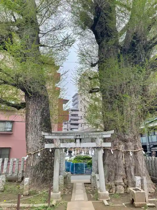 出世稲荷神社の{uncategorized: "未分類", other: "その他", undefined: "問題あり", building: "その他建物", grave: "お墓", sacred_gate: "鳥居", guardian: "狛犬", statue: "像", buddha: "仏像", history: "歴史", nature: "自然", garden: "庭園", animal: "動物", pagoda: "塔", temizu: "手水舎", mountain_gate: "山門・神門", sanctuary: "本殿・本堂", subordinate: "末社・摂社", art: "芸術", scenery: "景色", jizo: "地蔵", ema: "絵馬", goshuin: "御朱印", omikuji: "おみくじ", items: "授与品その他", amulet: "お守り", goshuincho: "御朱印帳", eats: "食事", festival: "お祭り", votive_dance: "神楽", shichigosan: "七五三参", wedding: "結婚式", experience: "体験その他", initially: "初詣", around: "周辺", anti_infection: "感染症対策"}