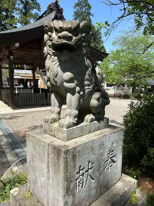 高麗神社の狛犬