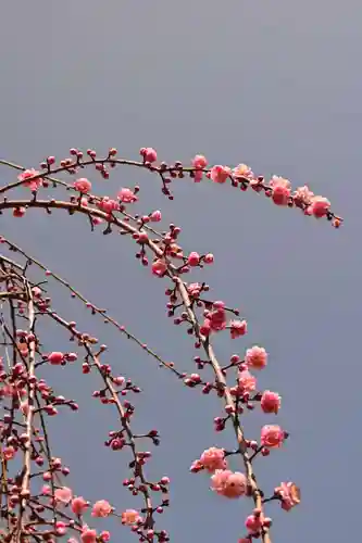 西方寺(広島県)