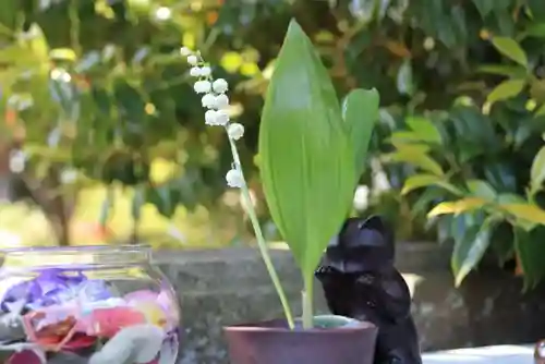 開成山大神宮の手水