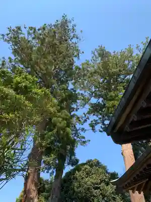 三社神社の末社・摂社