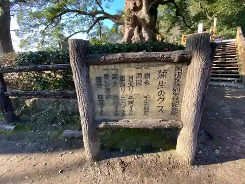 蒲生八幡神社の建物その他