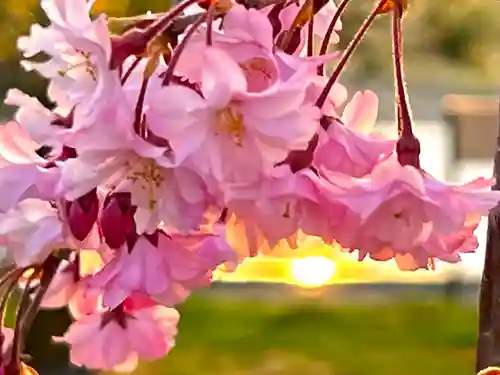 湯島天満宮(長野分社)(長野県)