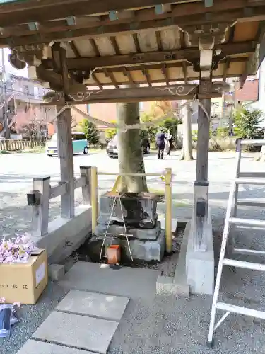相模原氷川神社(神奈川県)
