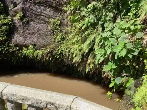 銭洗弁財天宇賀福神社の庭園