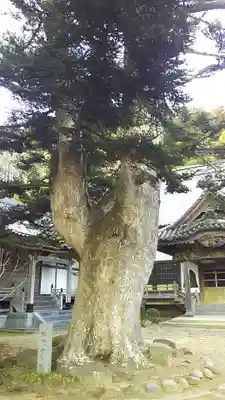 補陀寺の自然