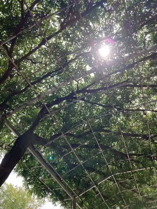 足利織姫神社(栃木県)
