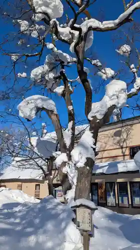 空知神社の自然