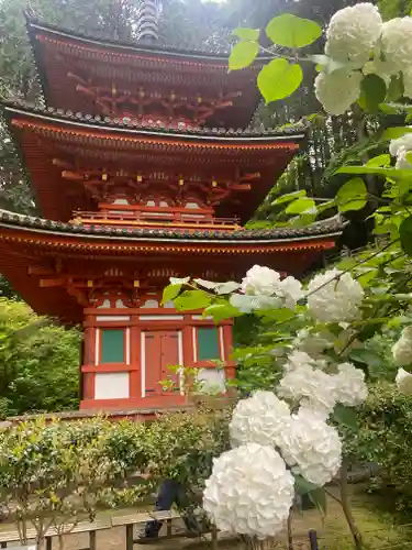 岩船寺(京都府)