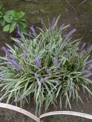 中道院(東京都)