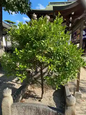 感田神社の自然