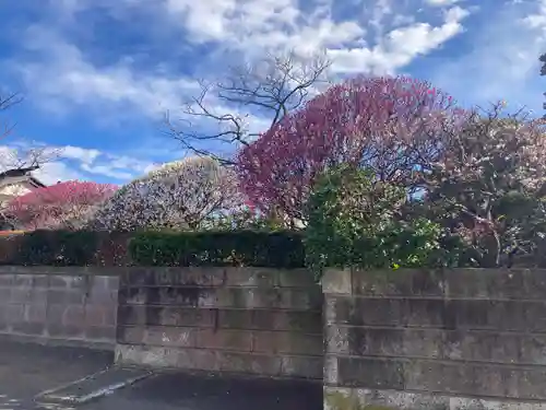 薬師院(神奈川県)