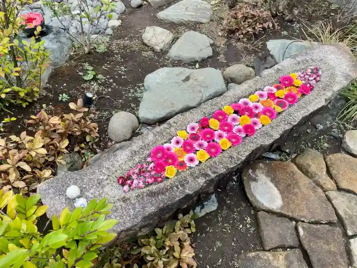 法輪寺の{uncategorized: "未分類", other: "その他", undefined: "問題あり", building: "その他建物", grave: "お墓", sacred_gate: "鳥居", guardian: "狛犬", statue: "像", buddha: "仏像", history: "歴史", nature: "自然", garden: "庭園", animal: "動物", pagoda: "塔", temizu: "手水舎", mountain_gate: "山門・神門", sanctuary: "本殿・本堂", subordinate: "末社・摂社", art: "芸術", scenery: "景色", jizo: "地蔵", ema: "絵馬", goshuin: "御朱印", omikuji: "おみくじ", items: "授与品その他", amulet: "お守り", goshuincho: "御朱印帳", eats: "食事", festival: "お祭り", votive_dance: "神楽", shichigosan: "七五三参", wedding: "結婚式", experience: "体験その他", initially: "初詣", around: "周辺", anti_infection: "感染症対策"}