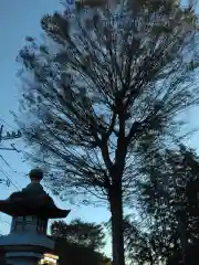 武州柿生琴平神社(神奈川県)