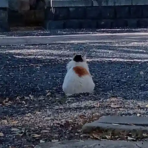 阿邪訶根神社(福島県)