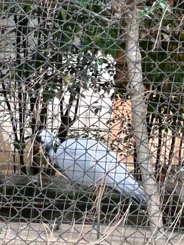 武蔵一宮氷川神社(埼玉県)