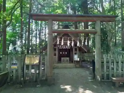 宝登山神社の鳥居