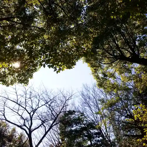 渋谷氷川神社の自然
