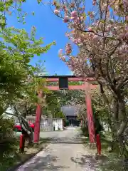 琴平神社(宮城県)