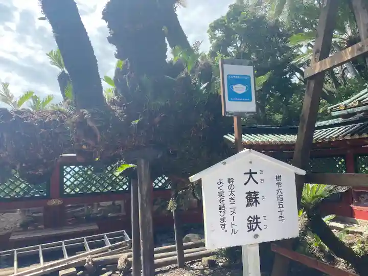 久能山東照宮の自然