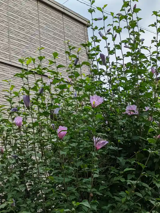 西林寺(京都府)