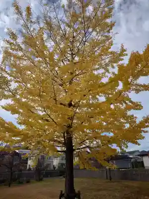 栗木御嶽神社(神奈川県)