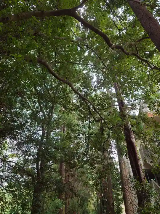 柏田神社(茨城県)