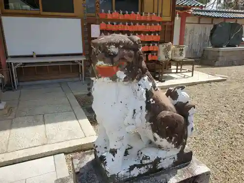 平野八幡神社の狛犬